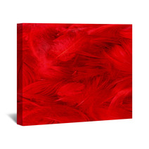 Color Feathers Wall Art 66271885