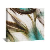 Color Feathers Wall Art 66271909