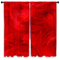 Color Feathers Window Curtains 66271885
