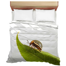 Colorado Potato Beetles Bedding 61375730