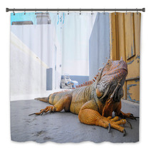 Colored Young Male Iguana Bath Decor 64881143