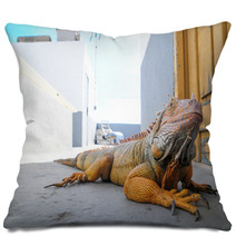Colored Young Male Iguana Pillows 64881143
