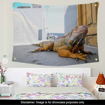 Colored Young Male Iguana Wall Art 64881143