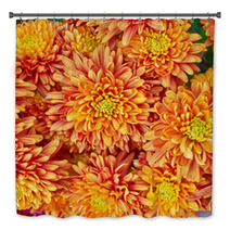 Colorful Chrysanthemums Floral  Background Bath Decor 48549169