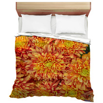 Colorful Chrysanthemums Floral  Background Bedding 48549169