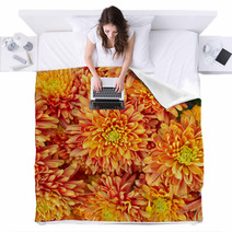 Colorful Chrysanthemums Floral  Background Blankets 48549169