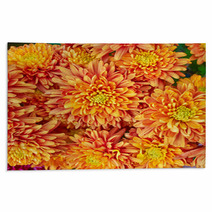 Colorful Chrysanthemums Floral  Background Rugs 48549169