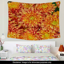 Colorful Chrysanthemums Floral  Background Wall Art 48549169