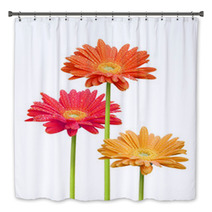 Colorful Daisies On White Background Bath Decor 6585259