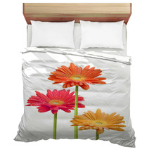 Colorful Daisies On White Background Bedding 6585259