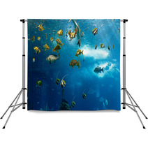 Colorful Fishes Backdrops 62893796