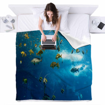 Colorful Fishes Blankets 62893796