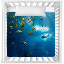 Colorful Fishes Nursery Decor 62893796