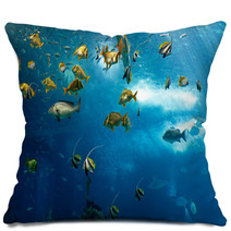 Colorful Fishes Pillows 62893796