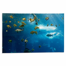 Colorful Fishes Rugs 62893796