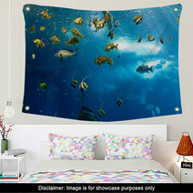 Colorful Fishes Wall Art 62893796