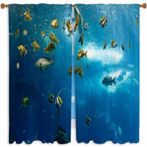 Colorful Fishes Window Curtains 62893796