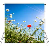 Colorful Flowers Backdrops 64746057
