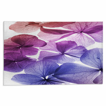 Colorful Flowers Closeup Rugs 35152735
