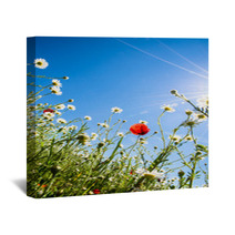 Colorful Flowers Wall Art 64746057