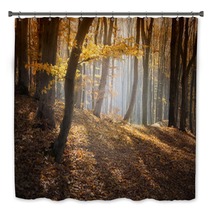 Colorful Forest In Autumn With Sun Rays Bath Decor 56154041