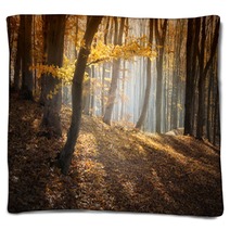 Colorful Forest In Autumn With Sun Rays Blankets 56154041