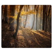 Colorful Forest In Autumn With Sun Rays Rugs 56154041