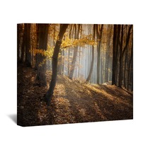 Colorful Forest In Autumn With Sun Rays Wall Art 56154041