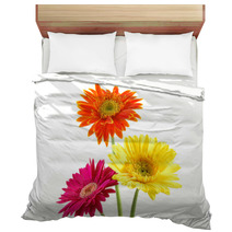 Colorful Gerber Daisies Bedding 956733