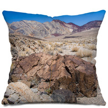 Colorful Landscape In Desert Pillows 65239449