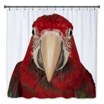 Colorful Macaw Isolated On The White Background Bath Decor 69844159
