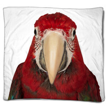Colorful Macaw Isolated On The White Background Blankets 69844159