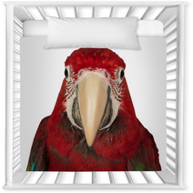Colorful Macaw Isolated On The White Background Nursery Decor 69844159