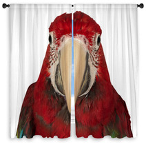 Colorful Macaw Isolated On The White Background Window Curtains 69844159