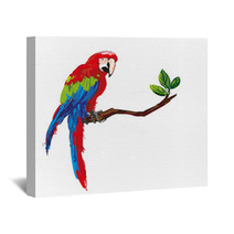 Colorful Parrot Wall Art 47678328