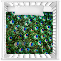 Colorful Peacock Feathers Background Nursery Decor 61396099