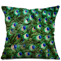 Colorful Peacock Feathers Background Pillows 61396099