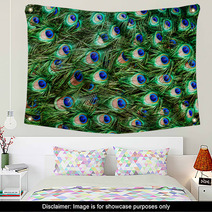 Colorful Peacock Feathers Background Wall Art 61396099