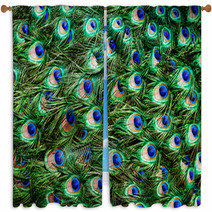 Colorful Peacock Feathers Background Window Curtains 61396099
