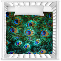 Colorful Peacock Feathers,Shallow Dof Nursery Decor 59564235