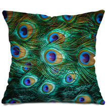 Colorful Peacock Feathers,Shallow Dof Pillows 59564235