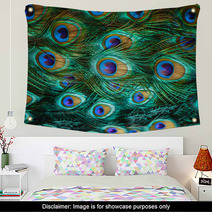 Colorful Peacock Feathers,Shallow Dof Wall Art 59564235