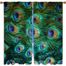 Colorful Peacock Feathers,Shallow Dof Window Curtains 59564235