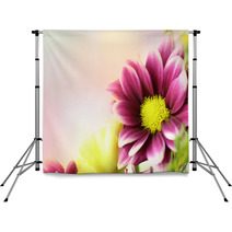Colorful Pink Purple And Yellow Flowers With An Area For Text Horizontal Backdrops 110225172