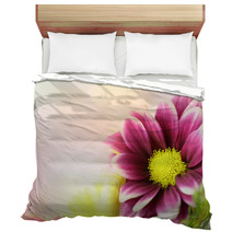 Colorful Pink Purple And Yellow Flowers With An Area For Text Horizontal Bedding 110225172