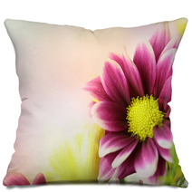 Colorful Pink Purple And Yellow Flowers With An Area For Text Horizontal Pillows 110225172