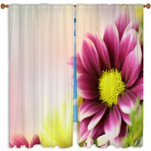 Colorful Pink Purple And Yellow Flowers With An Area For Text Horizontal Window Curtains 110225172