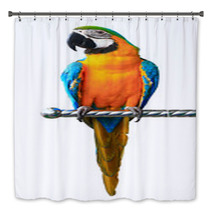 Colorful Red Parrot Macaw Isolated On White Background Bath Decor 52142962