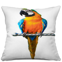 Colorful Red Parrot Macaw Isolated On White Background Pillows 52142962