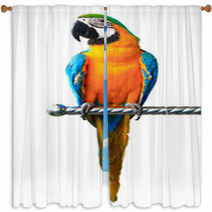 Colorful Red Parrot Macaw Isolated On White Background Window Curtains 52142962